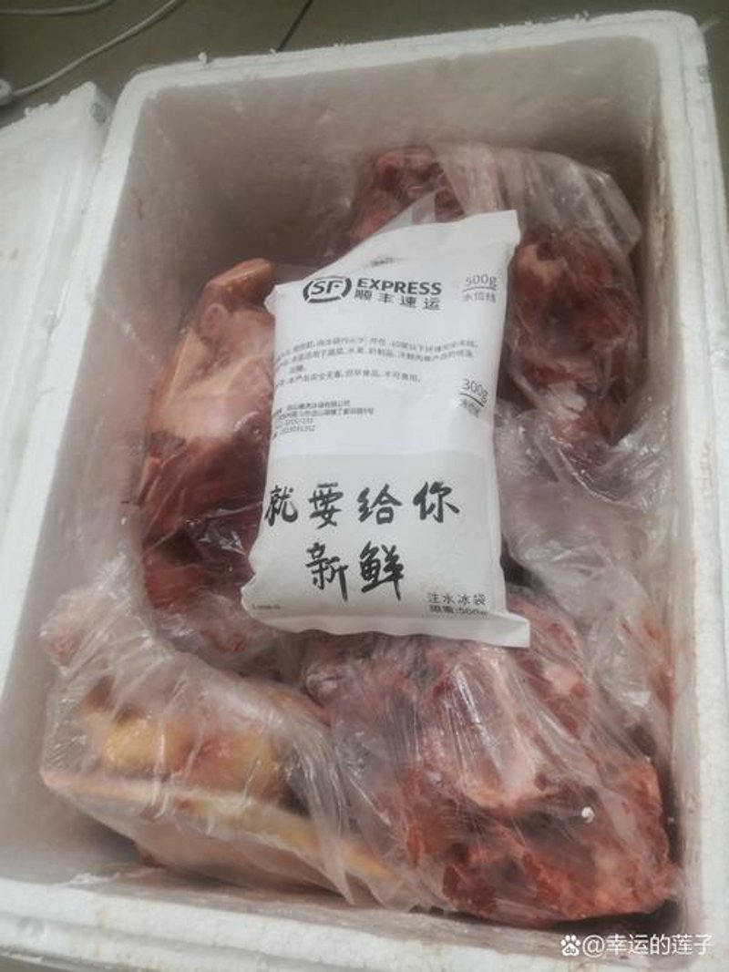 食堂食材配送市场的现状与未来趋势